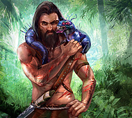 Forest Hermit 